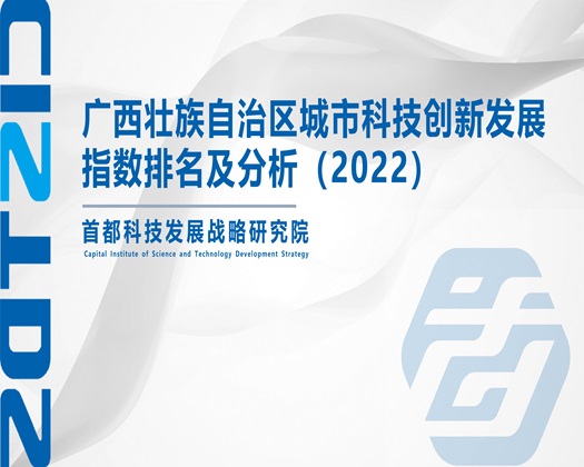 小美女被爆操h【成果发布】广西壮族自治区城市科技创新发展指数排名及分析（2022）